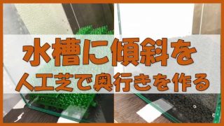 熱帯魚水槽をカラーボックスの上に置く どのサイズ 重量までなら問題ないか ノーマライズライフ