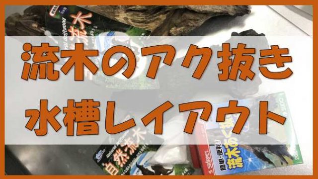 水槽レイアウト 流木のアク抜き方法 アク抜きパウダーが簡単で早い ノーマライズライフ