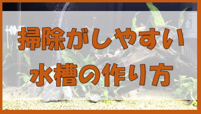 初心者向け 底砂 低床の掃除が簡単なメンテナンス性の高い水槽の作り方 ノーマライズライフ